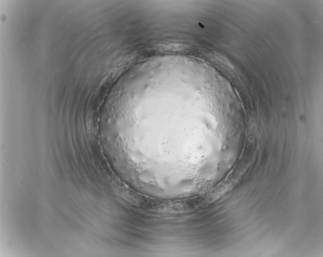 X0000057100377200510071943