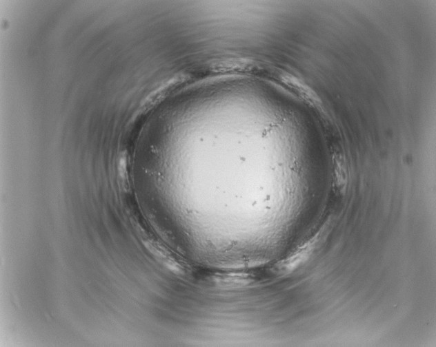 X0000057100378200510071943