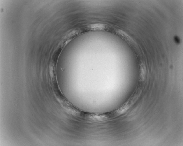 X0000057100379200510071943