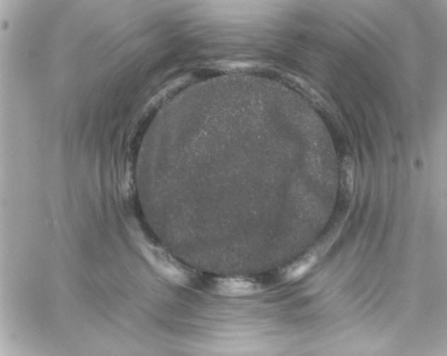 X0000057100380200510071943