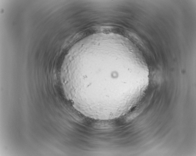 X0000057100381200510071943