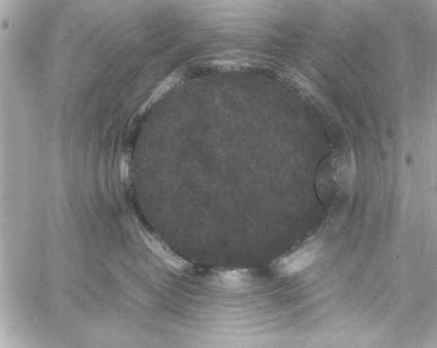 X0000057100382200510071943