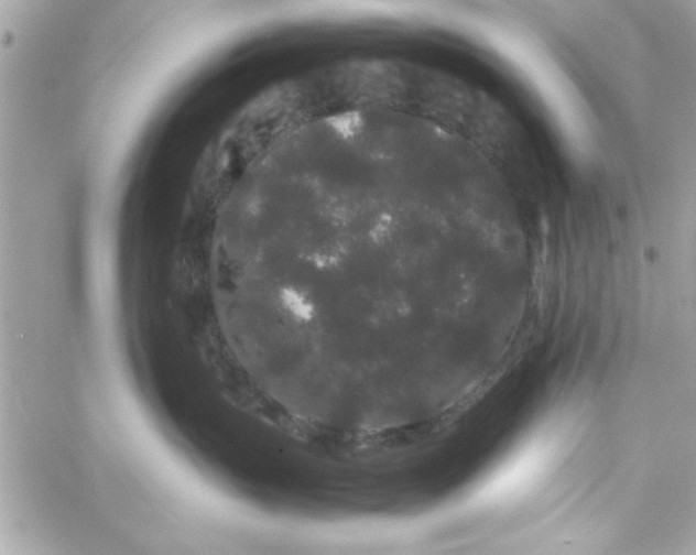 X0000057100383200510071943