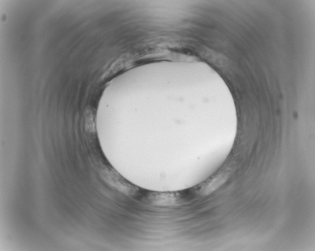 X0000057100384200510071943