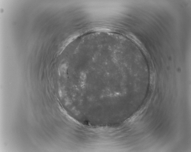 X0000057100385200510071943