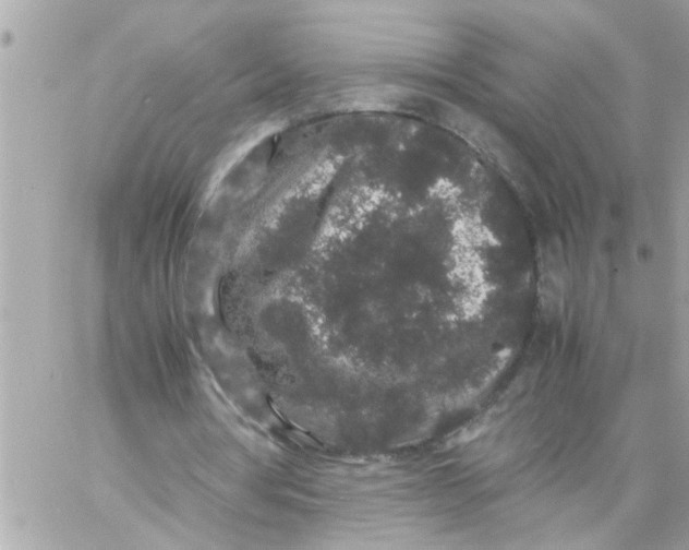 X0000057100386200510071942