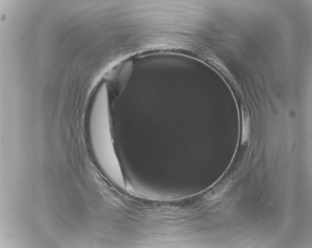 X0000057100387200510071942