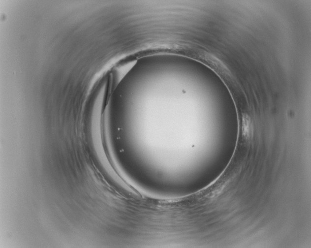 X0000057100388200510071942