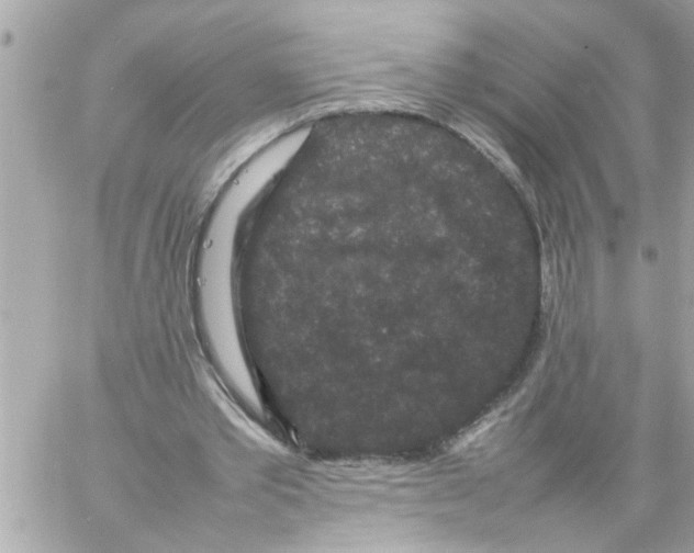 X0000057100389200510071942