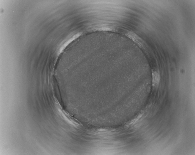 X0000057100390200510071942