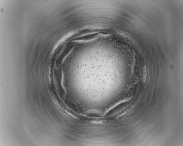 X0000057100392200510071942