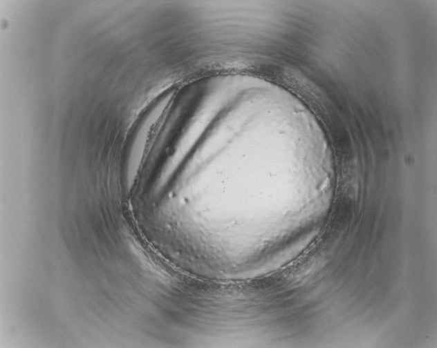 X0000057100394200510071942