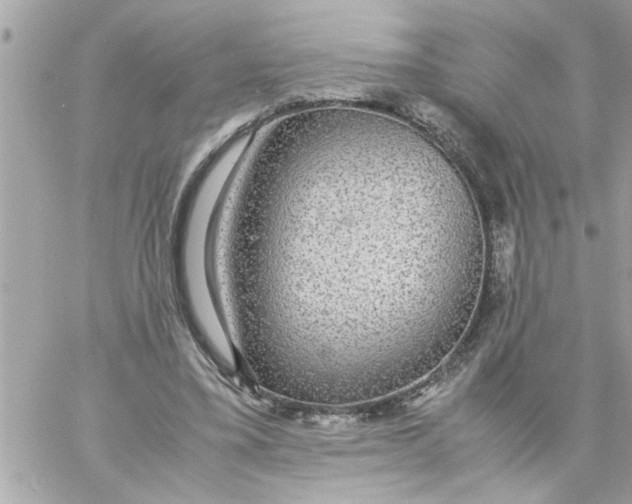 X0000057100395200510071942