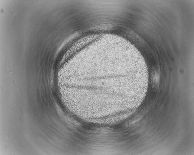 X0000057100396200510071942