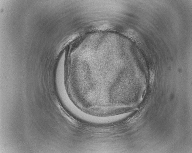 X0000057100397200510071942