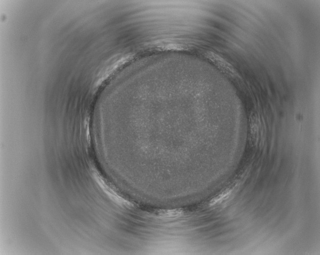 X0000057100398200510071942