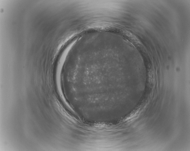 X0000057100399200510071942