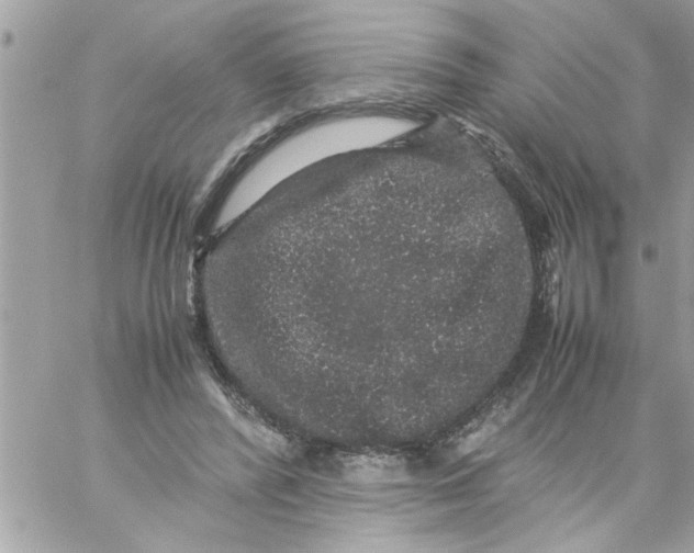 X0000057100400200510071942