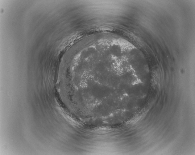 X0000057100402200510071942