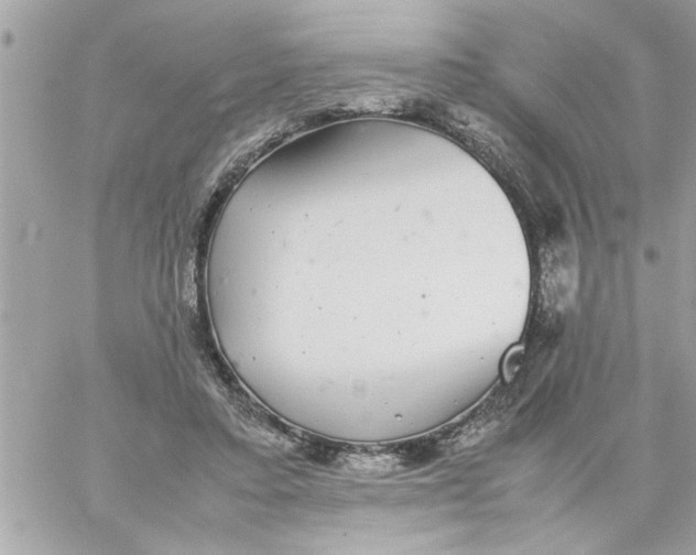 X0000057100403200510071942