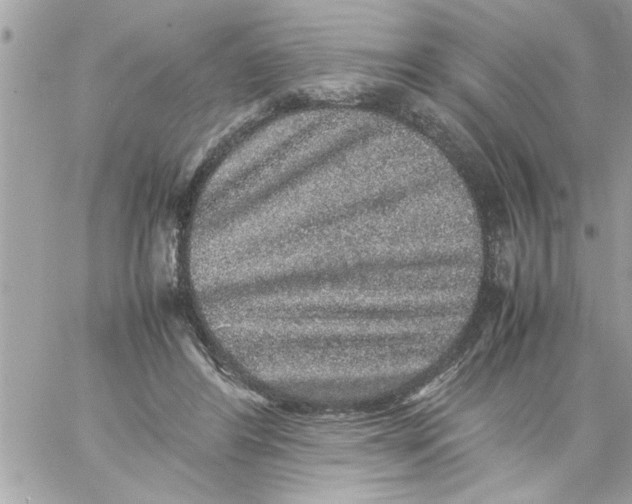 X0000057100404200510071942