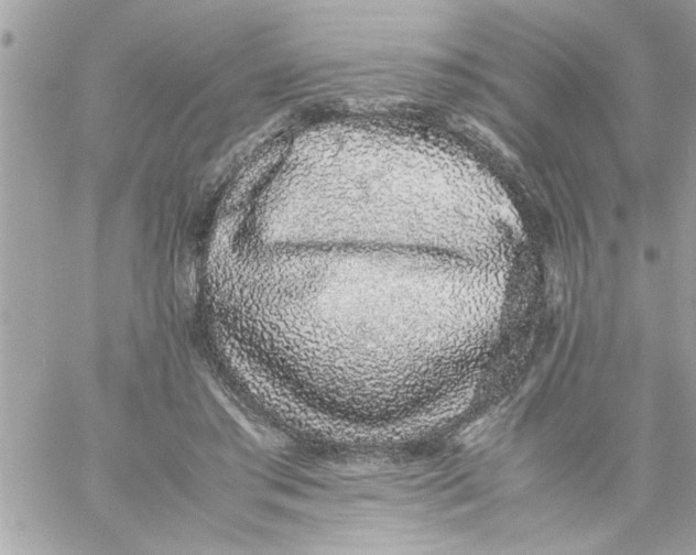 X0000057100405200510071942