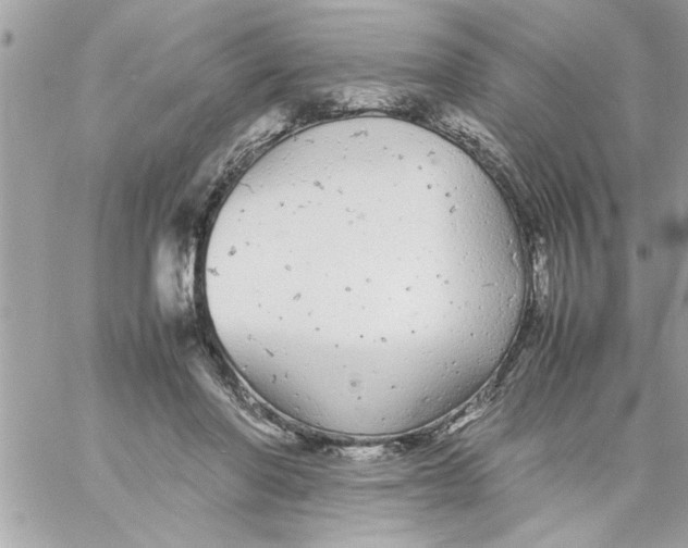 X0000057100406200510071942