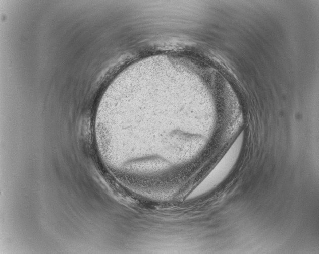 X0000057100407200510071942