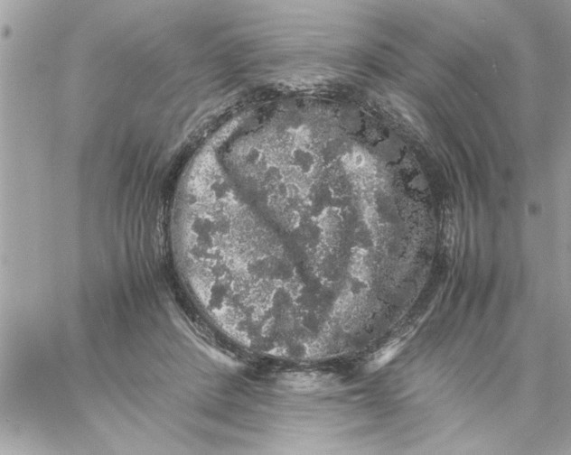 X0000057100408200510071942