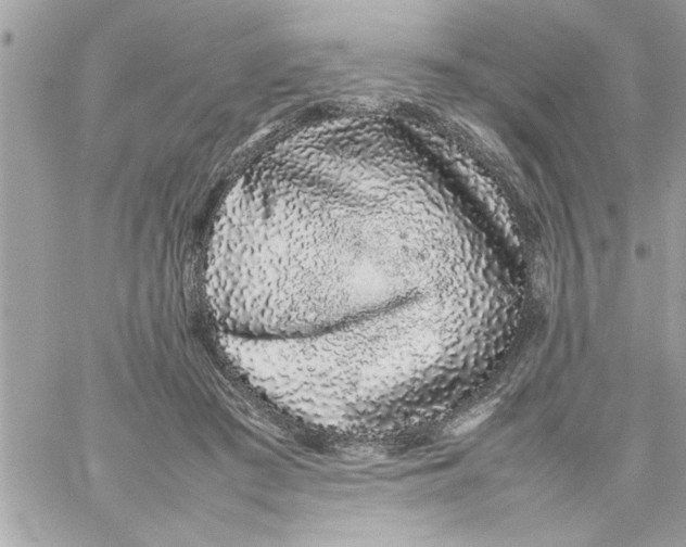 X0000057100409200510071942