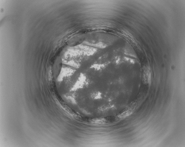 X0000057100410200510071942