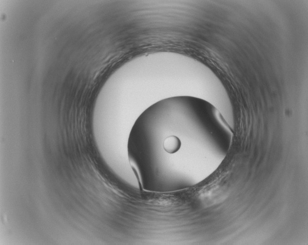 X0000057100412200510071942