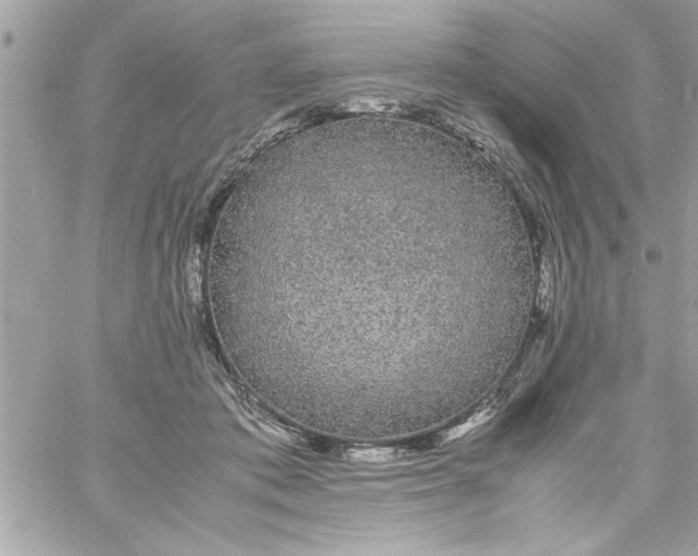 X0000057100413200510071942