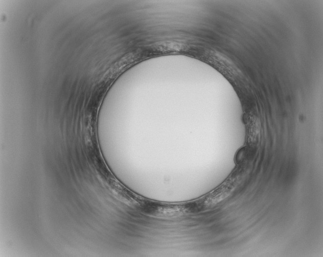 X0000057100414200510071942