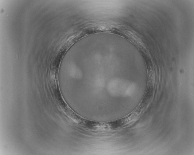 X0000057100415200510071942