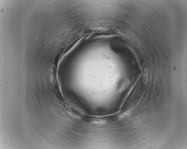 X0000057100416200510071942