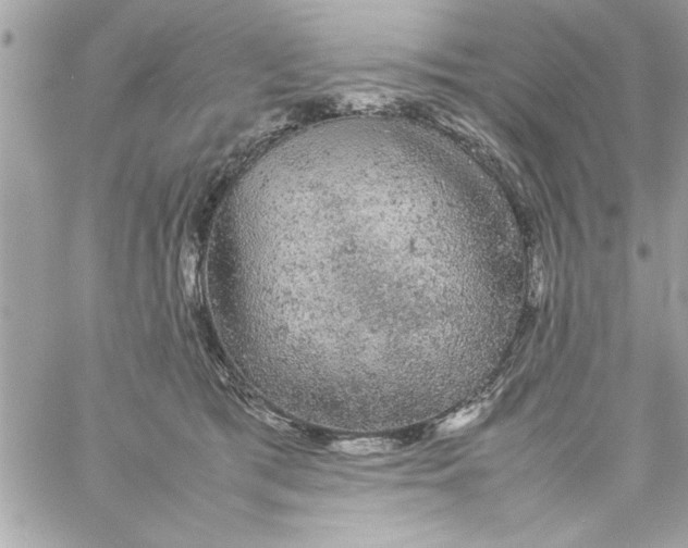 X0000057100417200510071942