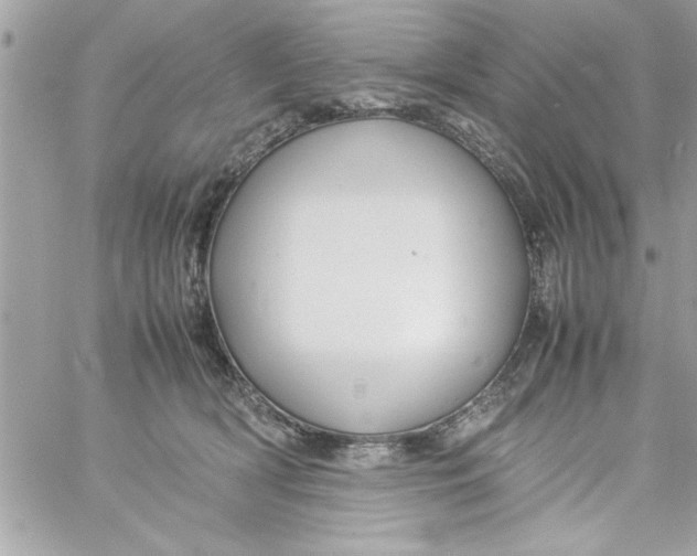 X0000057100418200510071942