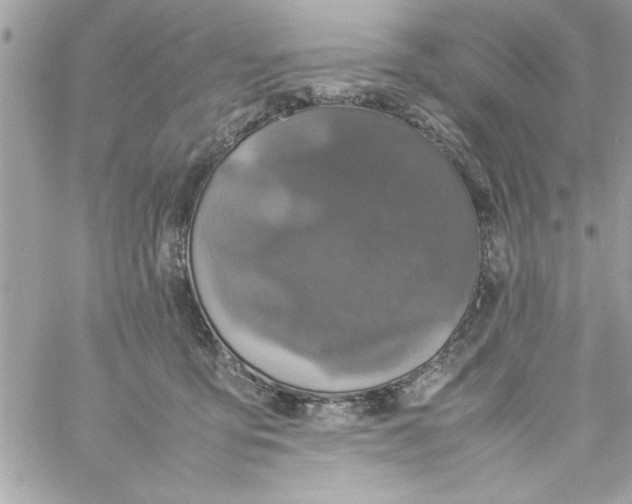 X0000057100419200510071942