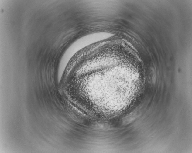 X0000057100420200510071942