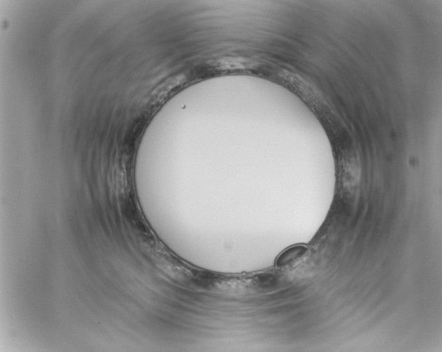 X0000057100422200510071942