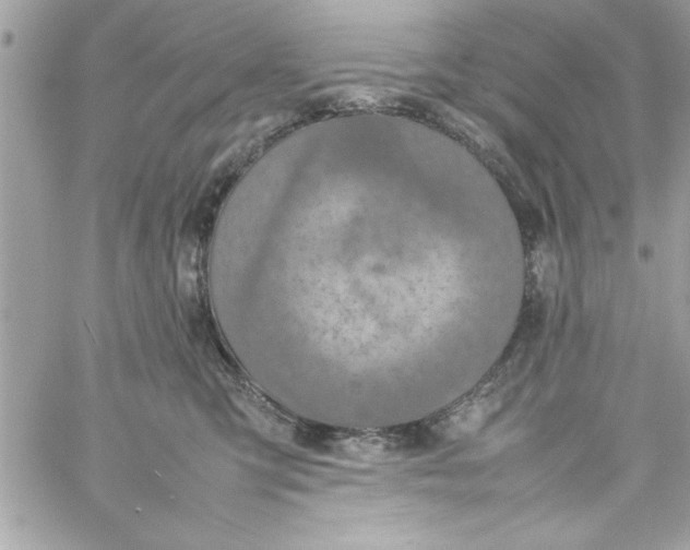 X0000057100423200510071942