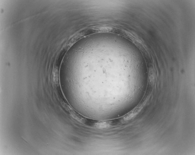 X0000057100425200510071942