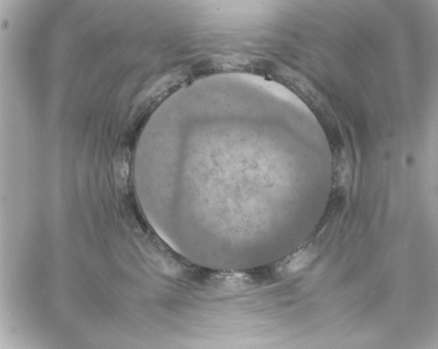 X0000057100427200510071942