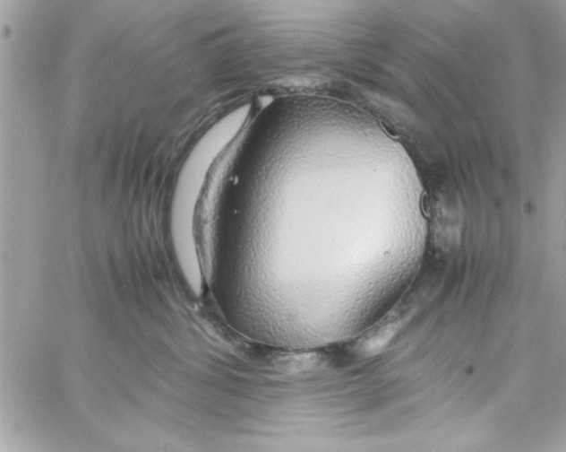 X0000057100428200510071942