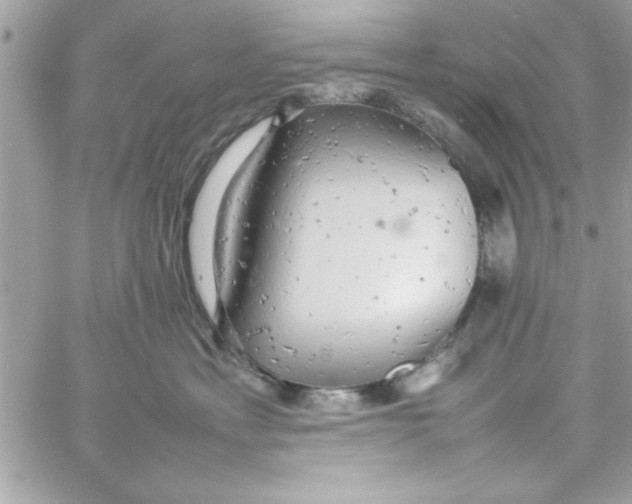 X0000057100429200510071942