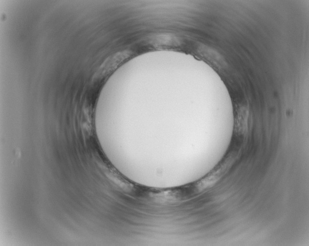 X0000057100430200510071942