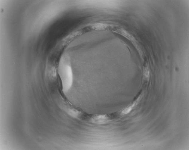 X0000057100431200510071942