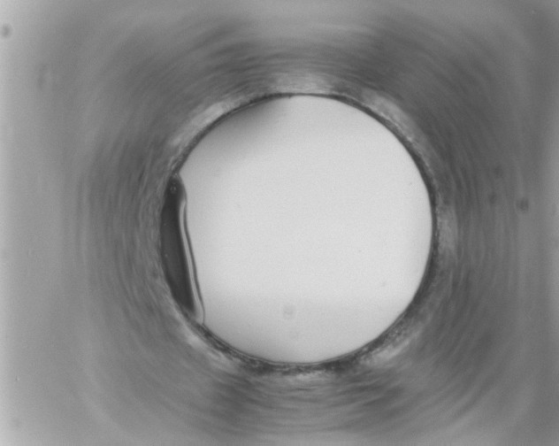 X0000057100433200510071941