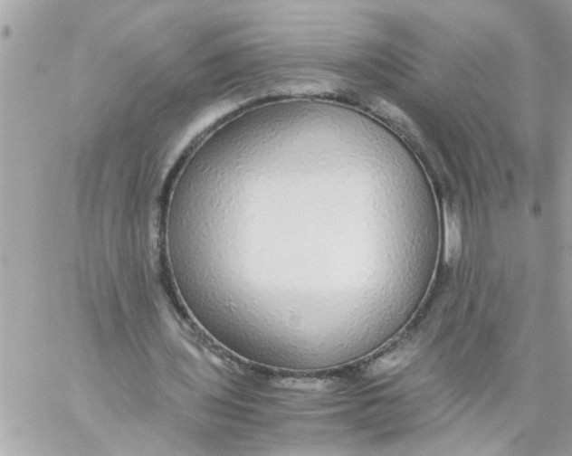 X0000057100435200510071941